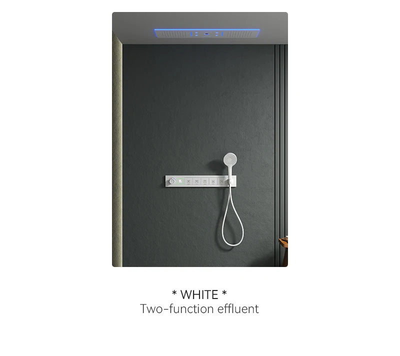 Luxury Ceiling Shower System Set Concealed Thermostatic Brass Digital Display Hydro Generator Rainfall  with Light and Bluetooth