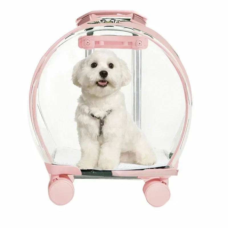 Puppy Move Trolley Cat Carriers Transparent Pet Backpack Animal Transportation and Goods for Travel Pet Supplies with Wheels