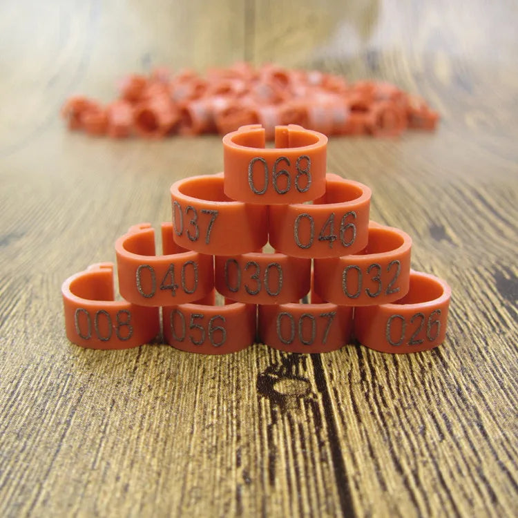 100pcs Bird Clip Ring ID 8mm Plastic Digital Markup Parrot Pigeons 10 Colors Marking Ring 8mm Bird Training Foot Ring 001-100