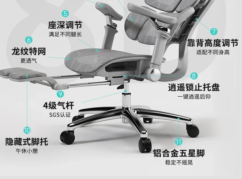 Ergonomic Lift Office Chair with Lumbar Support Household Gaming Esports Chair Household Computer Chair