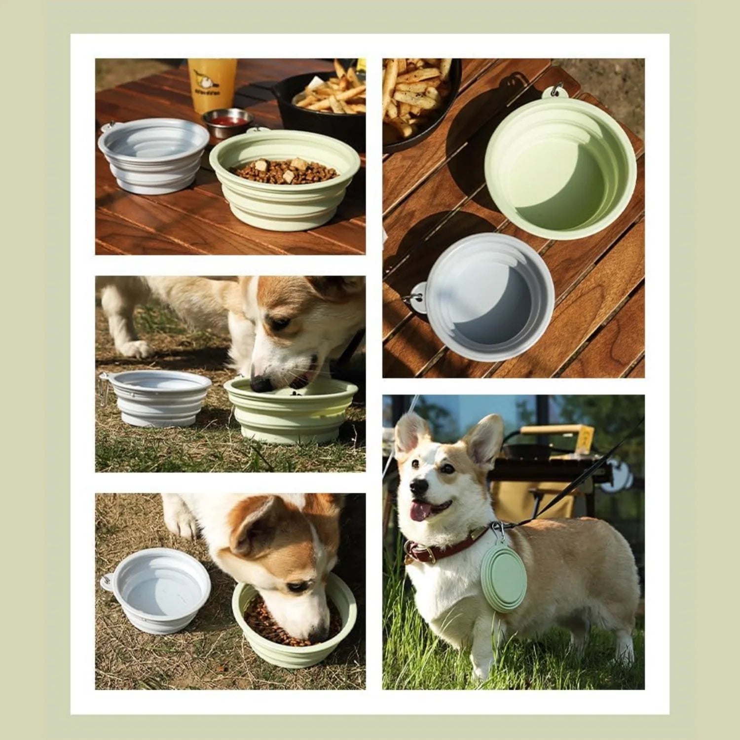 2pcs Collapsible Pet Silicone Dog Food Water Bowl Outdoor Camping Travel Portable Folding Supplies Dishes with Carabiner