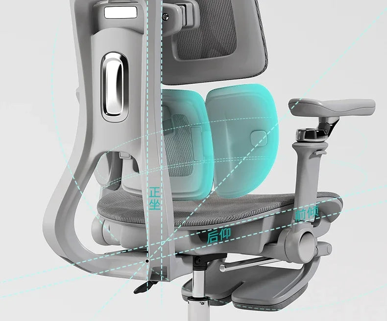 Ergonomic Lift Office Chair with Lumbar Support Household Gaming Esports Chair Household Computer Chair