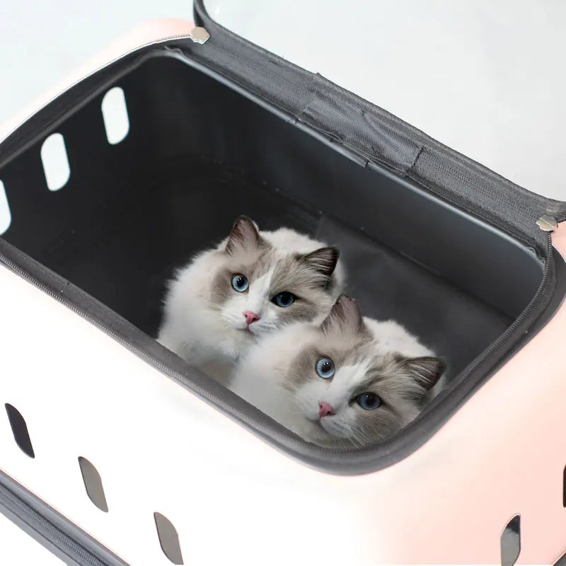 Large Pet Travel Carrier Rolling Pet Transport for Cats & Small Dogs Breathable Cat Suitcase Transparent Skylight Pet Stroller