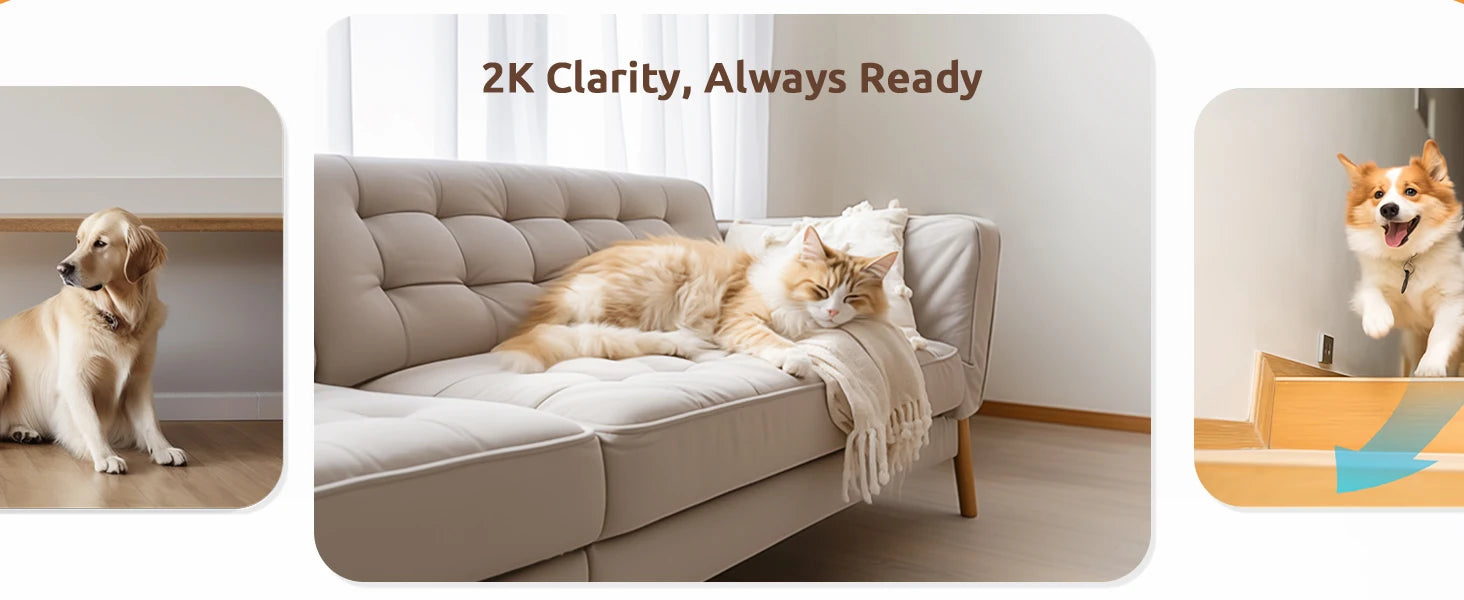 blurams Pet Camera 2K, 360° Indoor Security Camera, Dog Camera with Phone App, PTZ Cameras for Home Security Indoor, 2-Way Audio