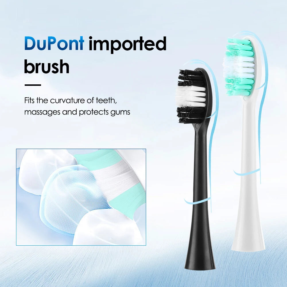 Electric Toothbrush 6 Brush Heads Sonic Electric Toothbrush with 31000VPM Deep Clean 6 Modes Waterproof Rechargeable for Adults