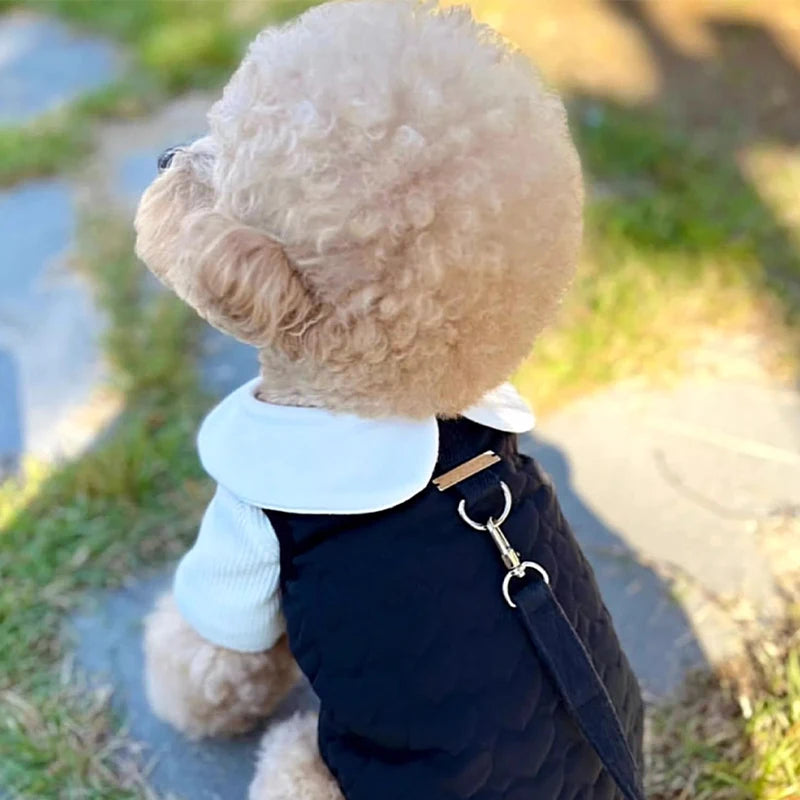 Winter Dog Dress Black White Cotton Dog Clothes for Small Dogs Pet Warm Vest Puppy Skirt Chihuahua Yorkshire Apparels Dog Coat