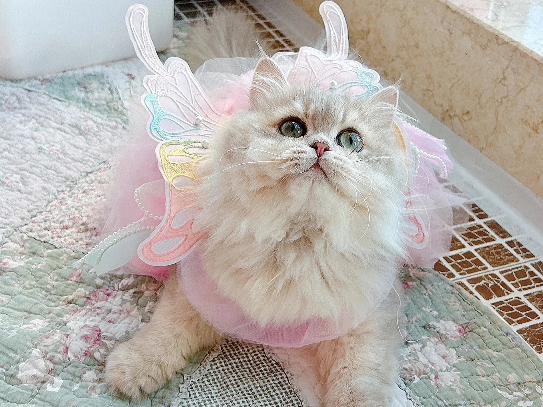 Dog Cat spring princess Dress Lace Skirt Pet Clothing Stripe Skirt Puppy Princess Apparel Cute Puppy Clothes Pet cat clothes