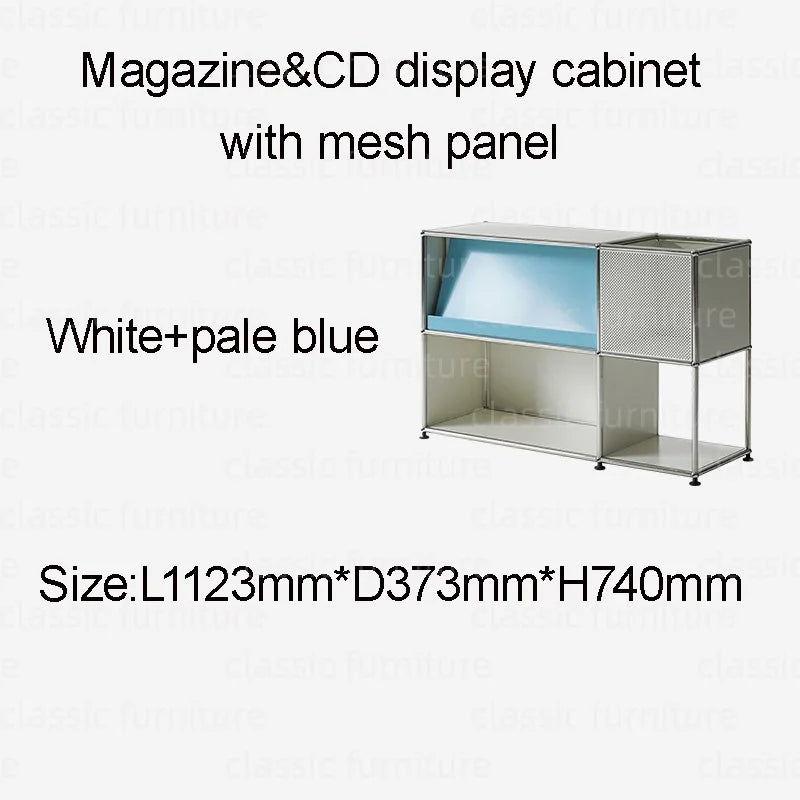 Modular Module Furniture Magazine CD Display Customized Metal Stainless Steel Cabinet  Storage  Sideboard Shelf DIY Living Room