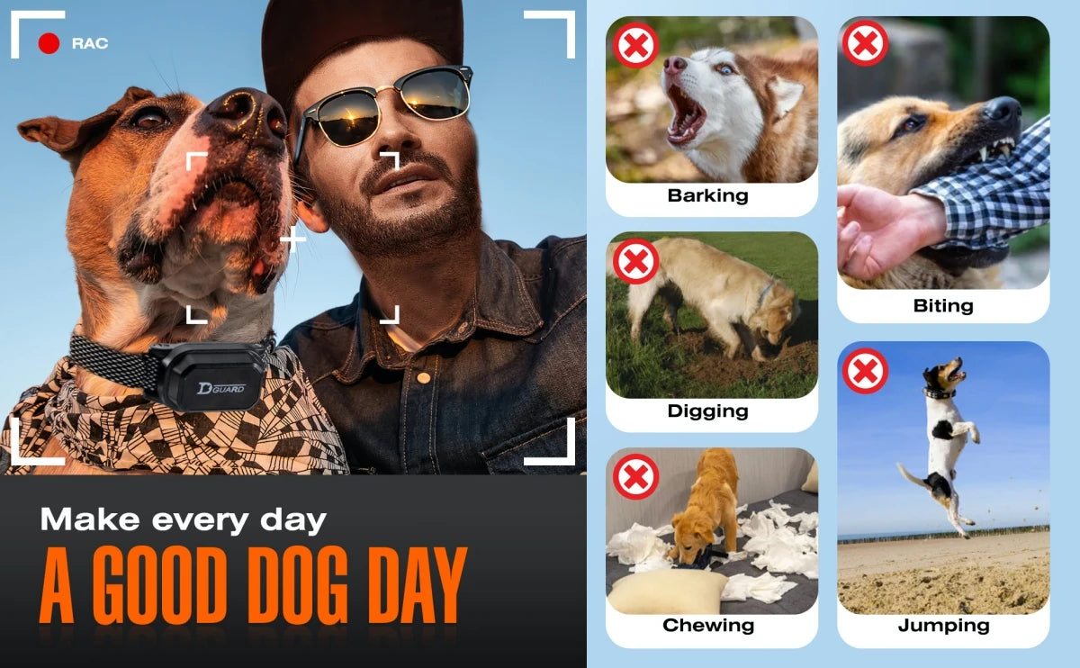 800m Digital Dog Training Collar Waterproof Rechargeable Remote Control Pet with LCD Display for All Size Shock Vibration Sound