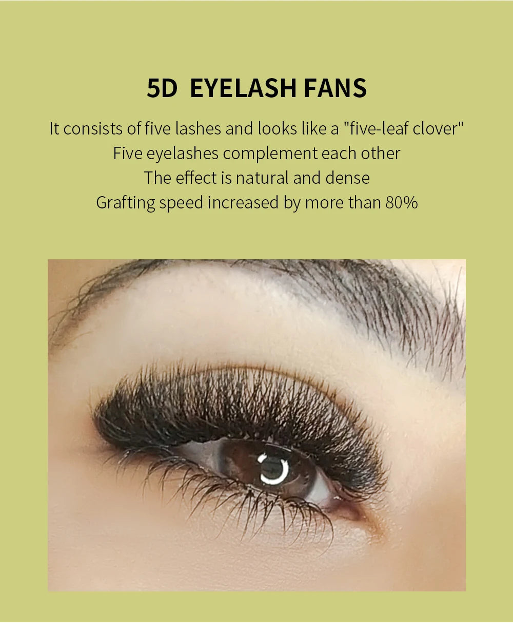 GLAMLASH 3D 4D 5D W Shaped Eyelash Lashes Easy Fan Eyelash Extensions Wholesales YY Premade Volume 12 Rows W Style Natural Soft