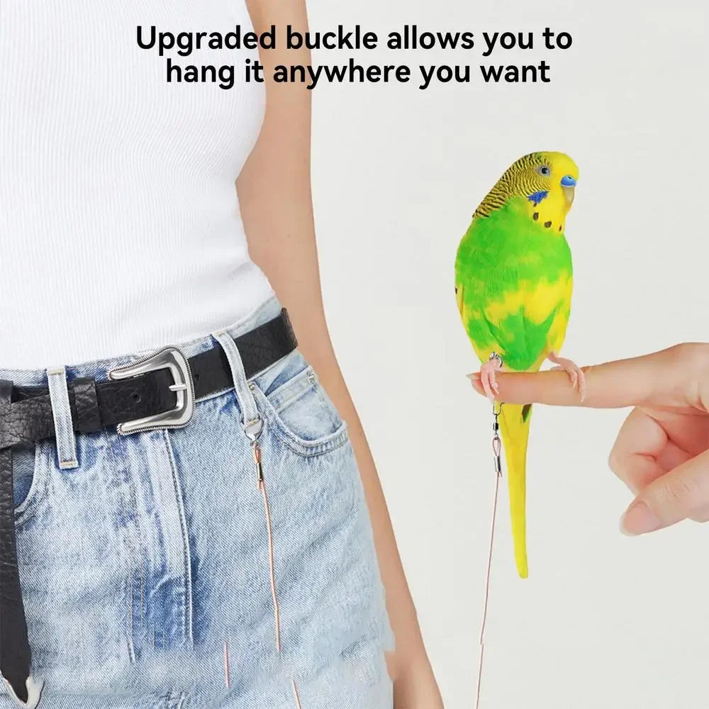 Parrot Bird Flying Training Leashh Rope Anti-flying Foot Chainsize 6 foot ring Ring Outdoor Birds Supplies