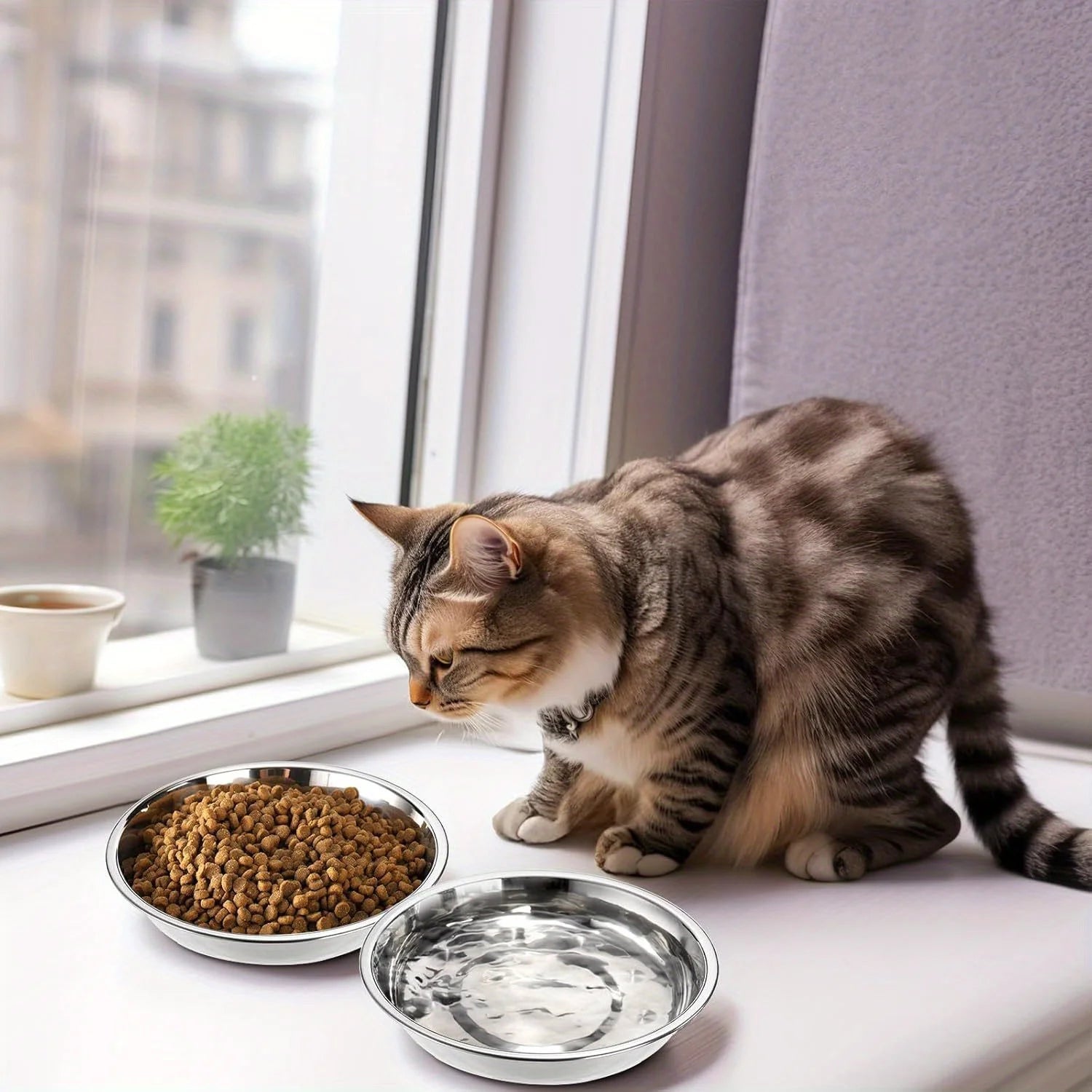 2/6pcs Slip Resistant Stainless Steel Cat Bowl – Low-Profile Wide Design for Kittens Small Pets Anti-Tip Base Feeding Station