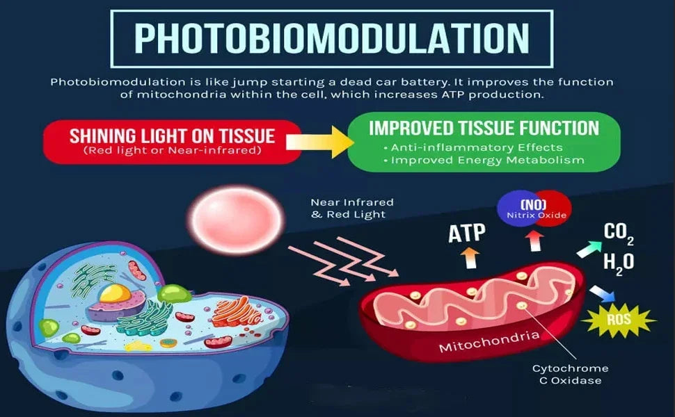 Red Light Therapy Device Cold Laser Physical Treatment 5 Wavelengths Near Infrared 940nm Light Therapy Skin Health Body Pain