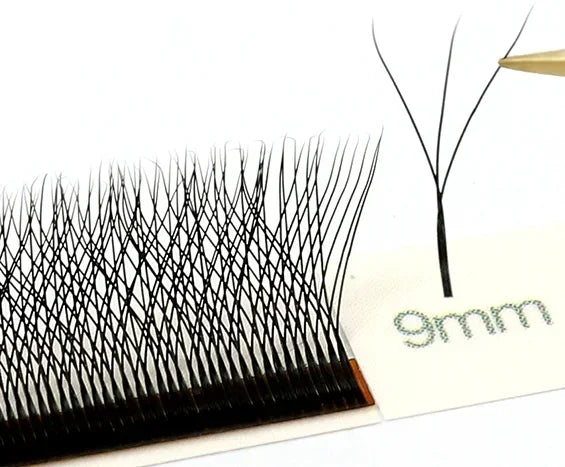 MARIA 3D W Shaped Soft Lash Extension Supplies 0.07 Eyelashes Wholesale Natural Makeup Easy Fan Y Clusters Private Label