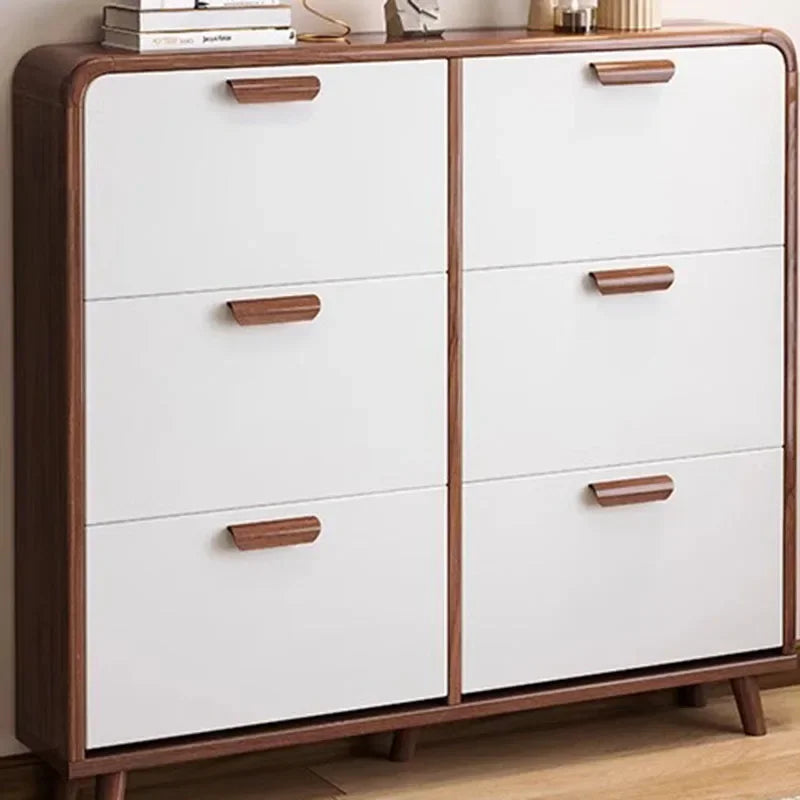 Designs Large Shoe Cabinet Closed Luxury Door Space Saving Shoe Cabinet Multi Layer Display Schonen Kast Entrance Hall Furniture