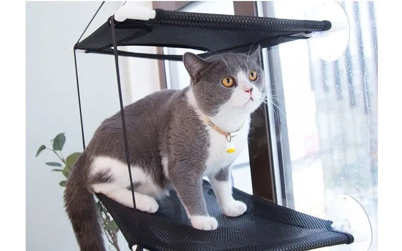 Cat Hammock Window Bed Kitten Sunny Seat Hanging Mount Beds Cat Sofa double-decker tunnels Suction Cup Wall Pet Hanging Winter