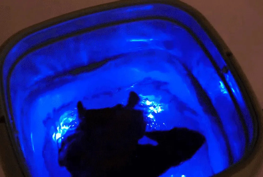 Portable folding washing machine With Spin Dryer Household Automatic Blue Light Sterilization Mini Underwear Laundry Washer