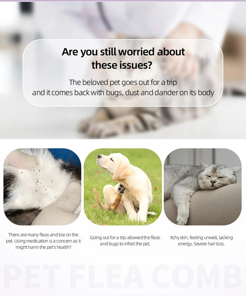 Pet Grooming Comb - Flea Comb for Cats & Dogs, Curved Design for Face & Body, Mini Detangling Brush for Pets