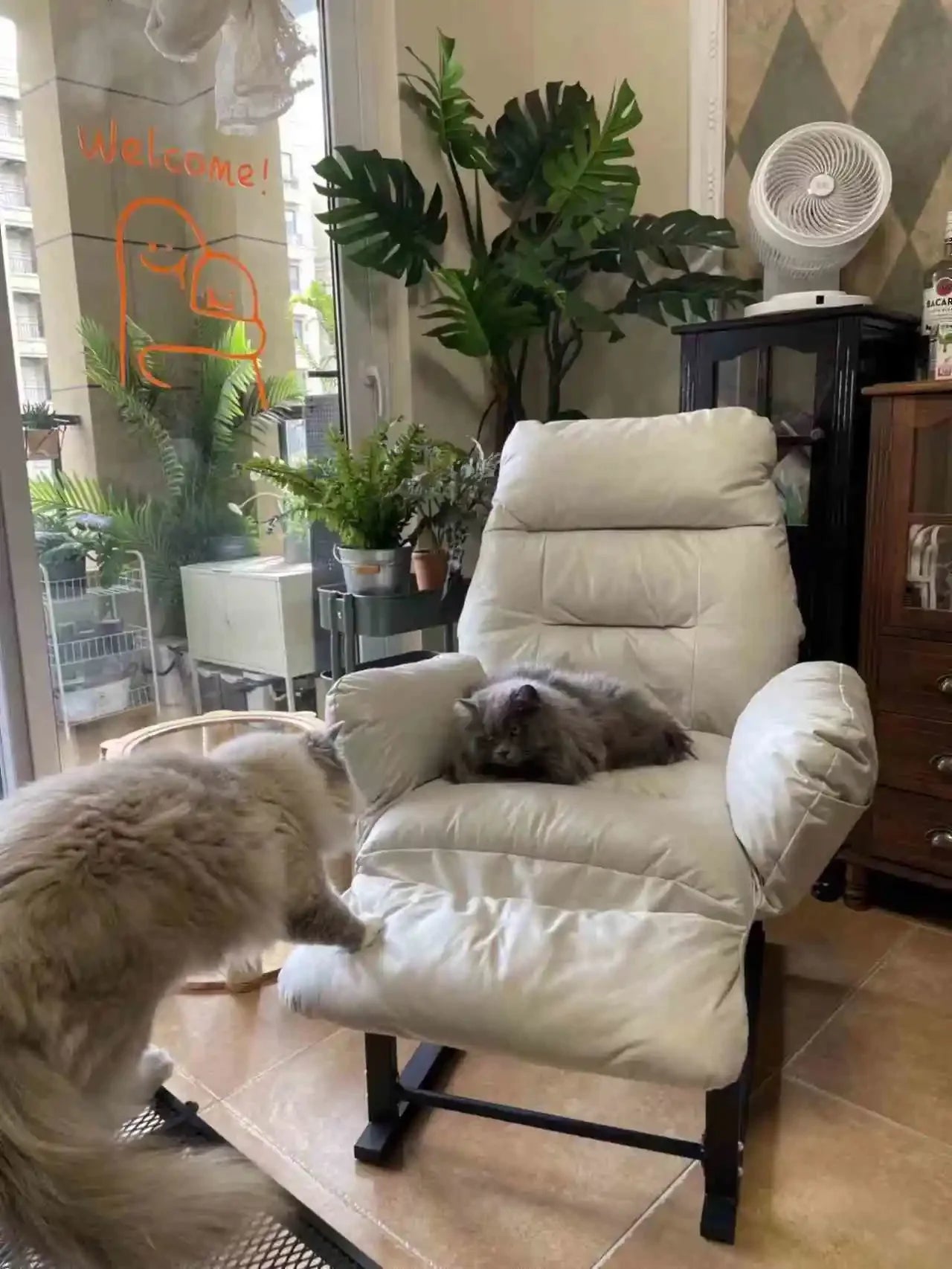 Computer Chair, Home, Comfort, Lazy, Sofa, Sedentary, Backrest, Office, College Students, Dormitory, E-sports, Live Broadcast