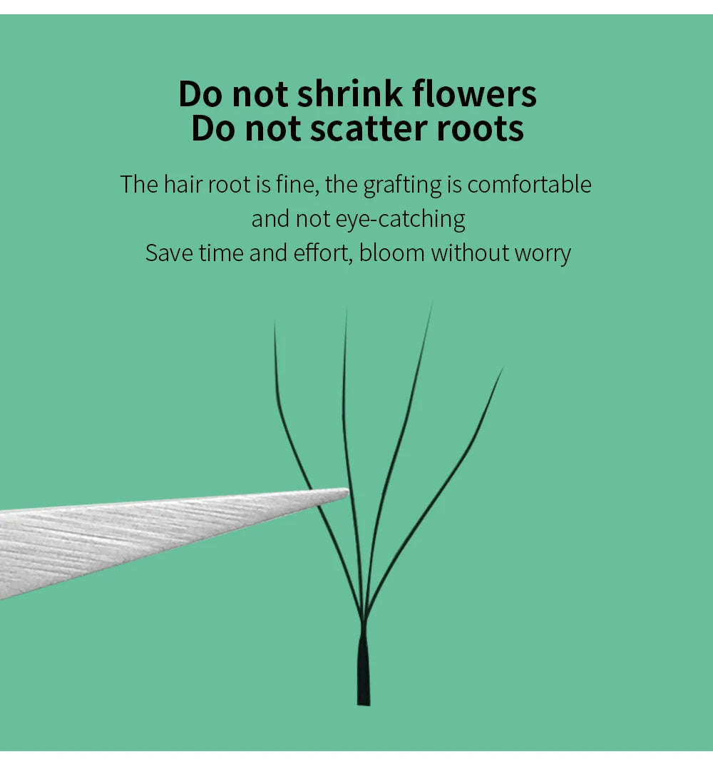 GLAMLASH 4D5D W Shaped Eyelash Extension Premade Volume Fans W Style Lashes Faux Mink Soft Easy Faning Natural Lashes