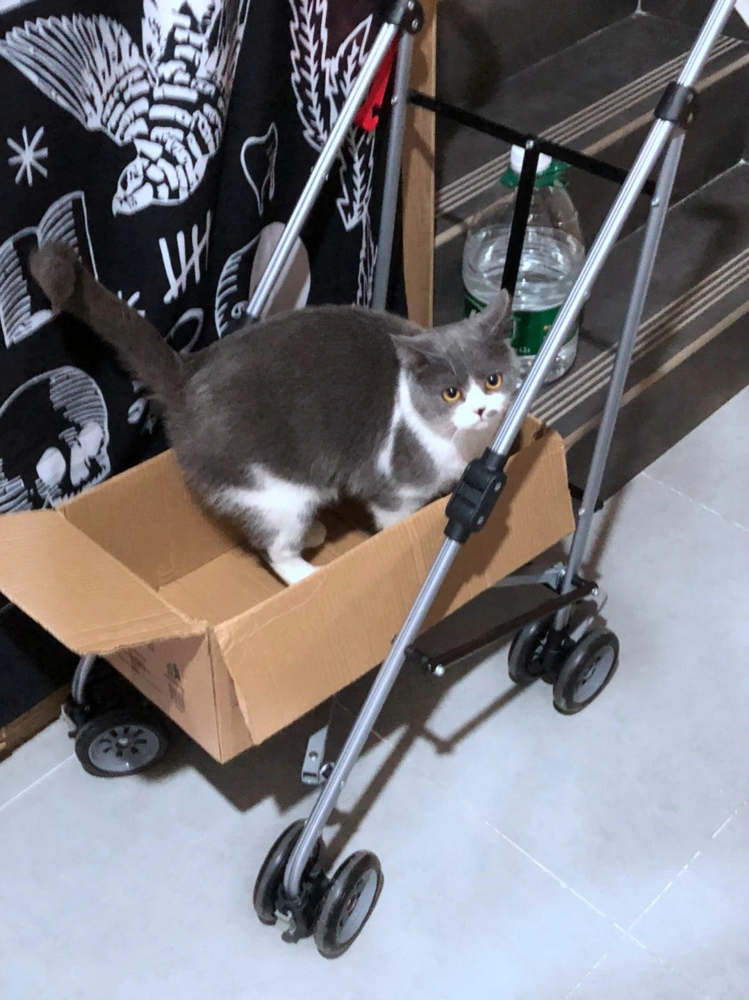 Winter Pet Stroller Frame For Car Seat Bag Simple Foldable Trolley Transport Multifunction Cat Dog Stroller