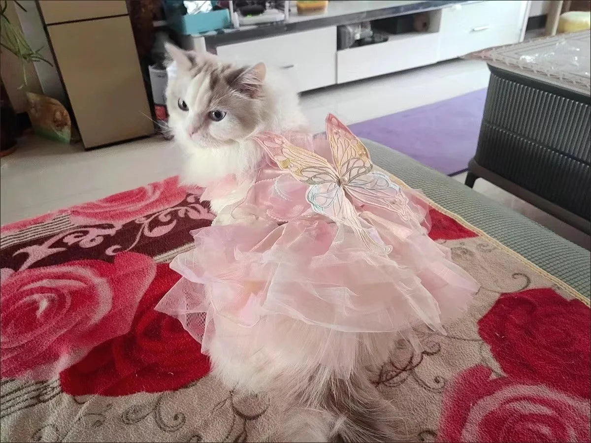 Dog Cat spring princess Dress Lace Skirt Pet Clothing Stripe Skirt Puppy Princess Apparel Cute Puppy Clothes Pet cat clothes
