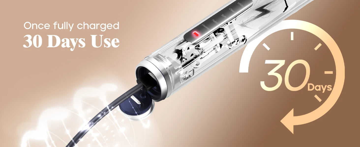 Seago Rotating Electric Rechargeable Toothbrush Teeth Cleaning with 8 Brush Toothbrush Heads 5 Modes Portable Smart Timer