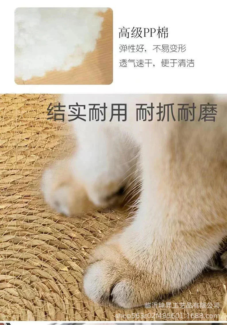 Rattan Weaving Cat Basket Bed With Soft Cushion Round Donut Design Cozy Warm Comfortable Sleeping Nest For Cats And Dogs