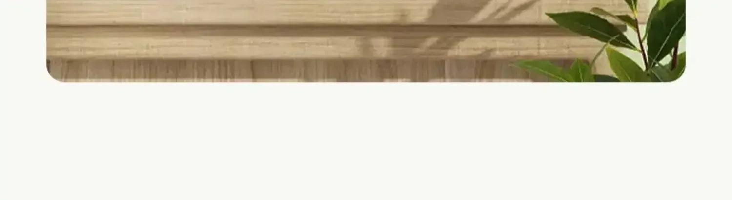 New Small Mini Refrigerator Car Home Dual-use Rental Room Dormitory Portable Single-use Refrigerator