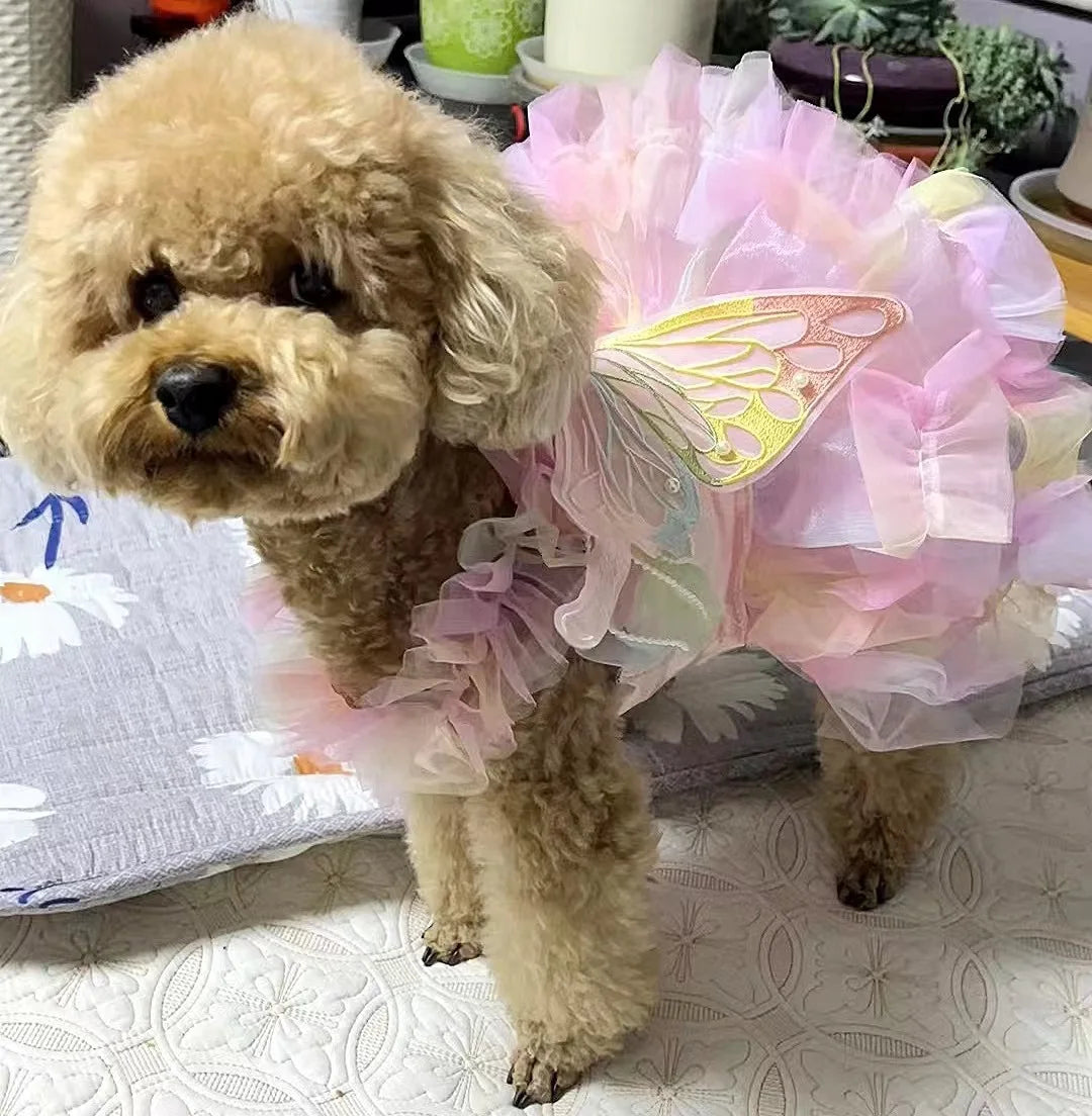 Dog Cat spring princess Dress Lace Skirt Pet Clothing Stripe Skirt Puppy Princess Apparel Cute Puppy Clothes Pet cat clothes
