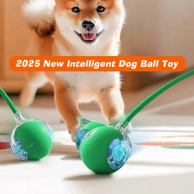 New Dog Interactive Ball Toy,Automatic Rolling Dog Ball Rechargeable,Smart Puppy Interactive Toy,Intelligent Balls Toy for Dogs