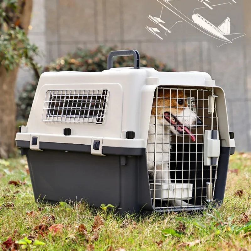 Pet Aviation Case Carrier Rolling Plastic Airline Approved Breathable Pet Cages Wire Door Travel Dog Cat Trolley Case Products