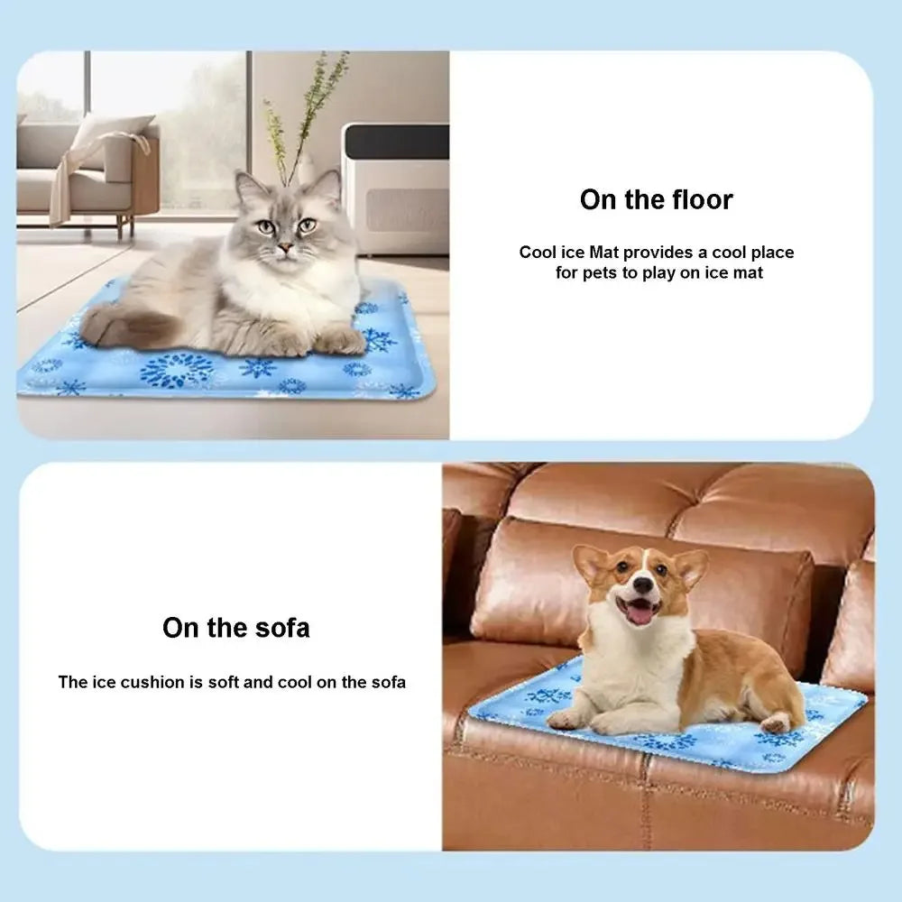 Cooling Beds Cats Accessory Accessories Dog Bed Goods Mat Houses Habitats Pet Products Cushions Puppy House Things Kitten Basket