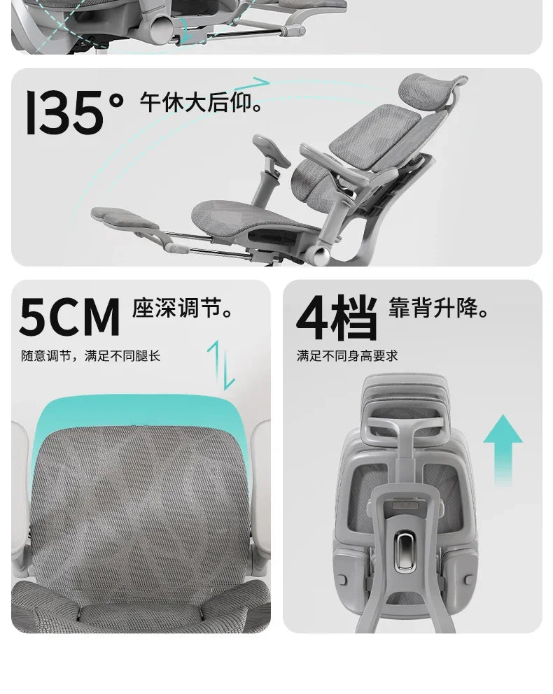 Ergonomic Lift Office Chair with Lumbar Support Household Gaming Esports Chair Household Computer Chair