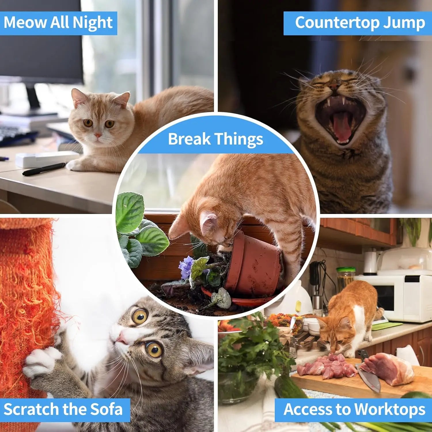 PaiPaitek Cat Training Collar,Cat Shock Collar with Remote ,Cat Stop Meowing Collar, Remote Control/Automatic Anti-Meow for Cats