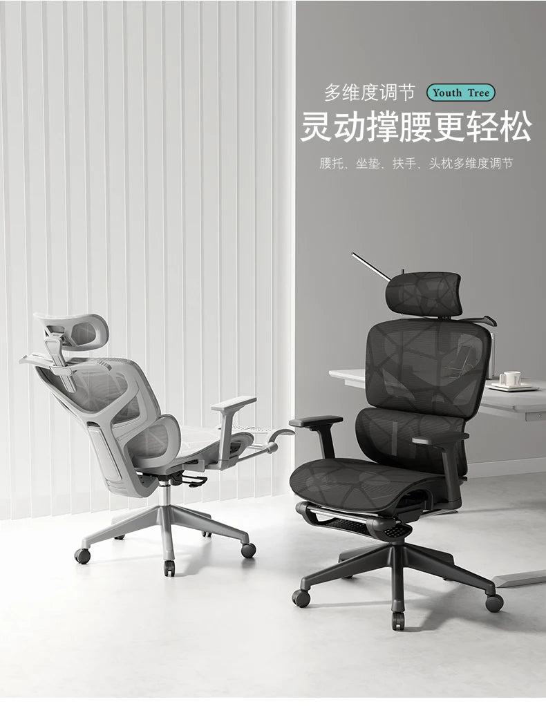 Throne Study Office Chair Playseat Ergonomic Modern Luxury Mobile Office Chair Executive Designer Taburete Library Furniture