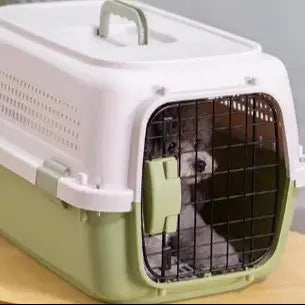 Boeing Pet Carrier Safety and IATA Standard