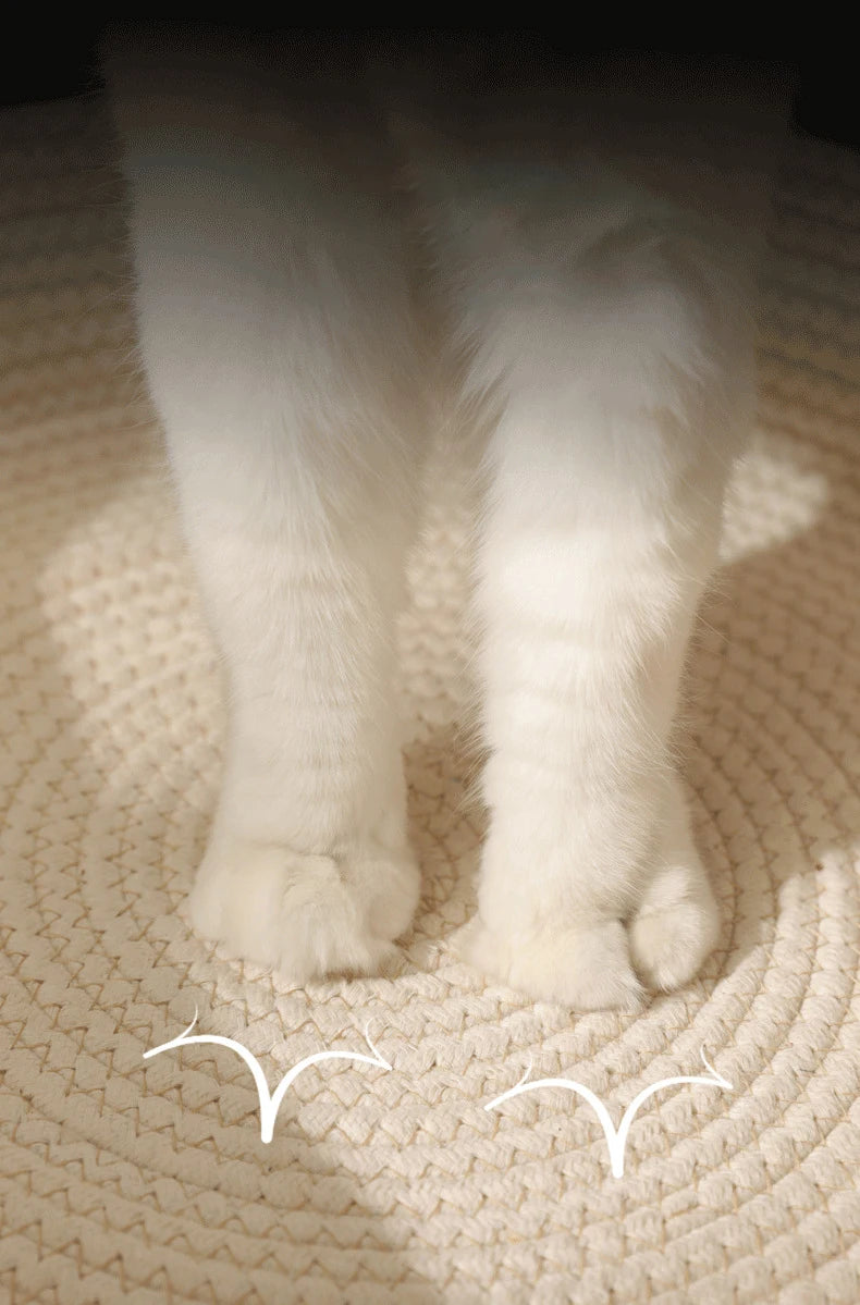 Cat Bed Handmade Rattan Woven Pet Nest Removable Washable Warm Pad All-Season Cat Scratch Board Winter Warm Cat House for Cats