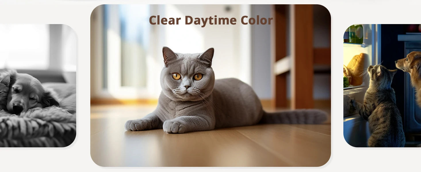 blurams Pet Camera 2K, 360° Indoor Security Camera, Dog Camera with Phone App, PTZ Cameras for Home Security Indoor, 2-Way Audio