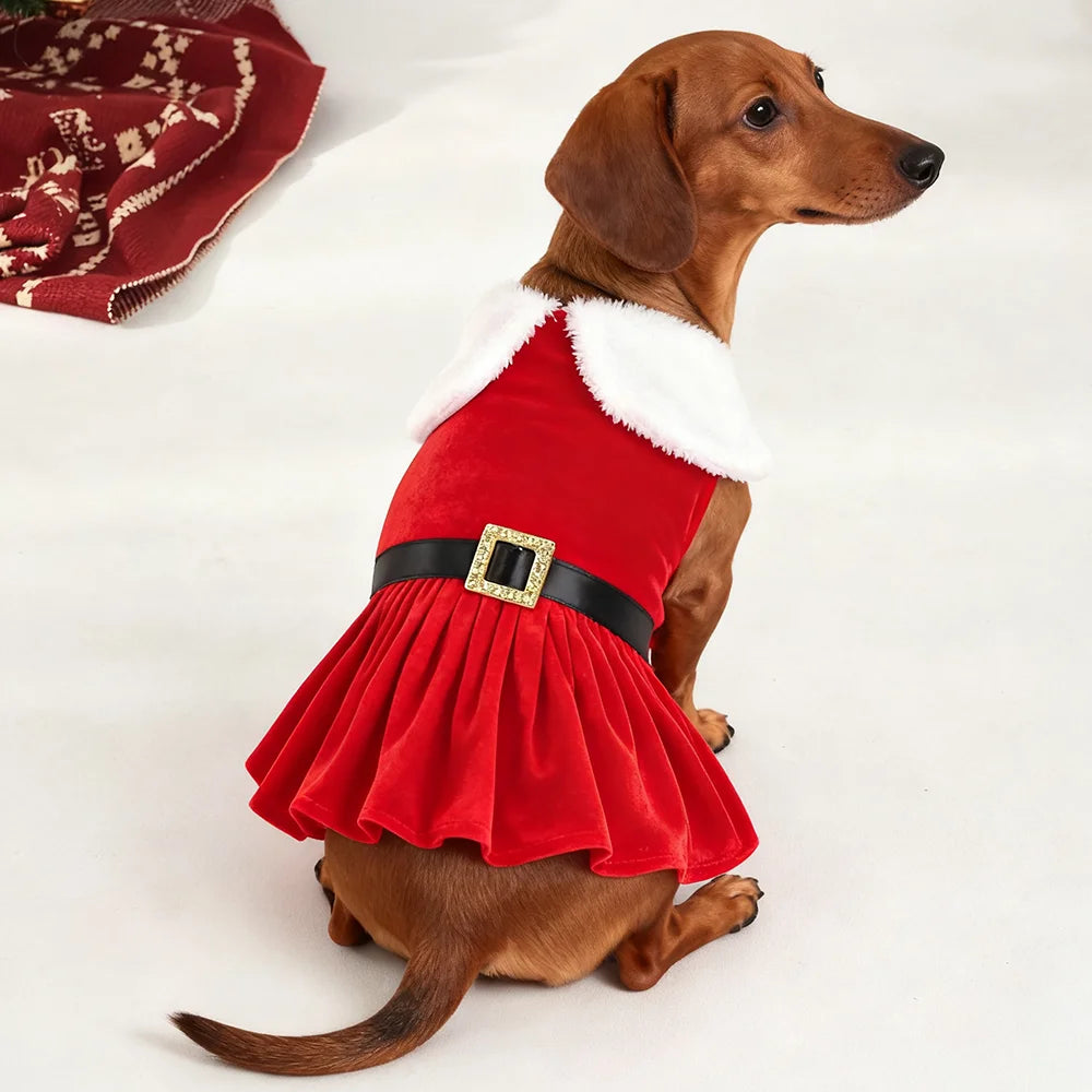 Christmas Dog Dress Pet Christmas Costume Cat Clothes Girl Puppy Xmas Holiday Party Cosplay Outfit Winter Apparel for Small Dogs
