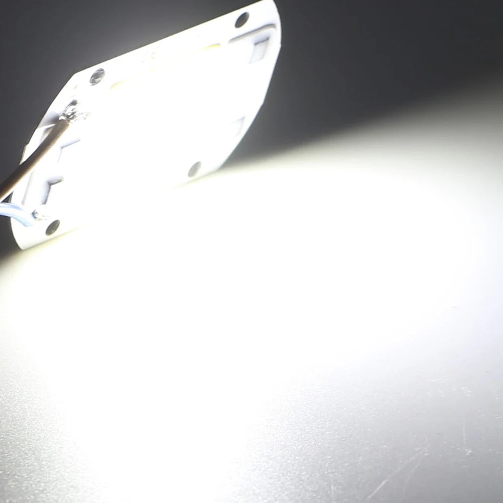 COB Chip LED Lamp 220V 10W 20W 30W 50W Smart IC No Need Driver Lampada LED Bulb Lamp For Flood Light Spotlight Diy Lighting