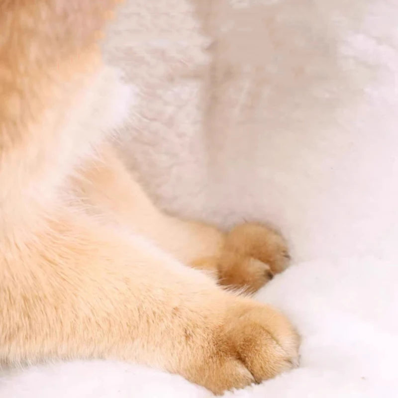 Pet Dog Cat House Kennel Super Large Instant Noodle Warm Dog Cat Nest Beds Cushion Cup Cozy Nest