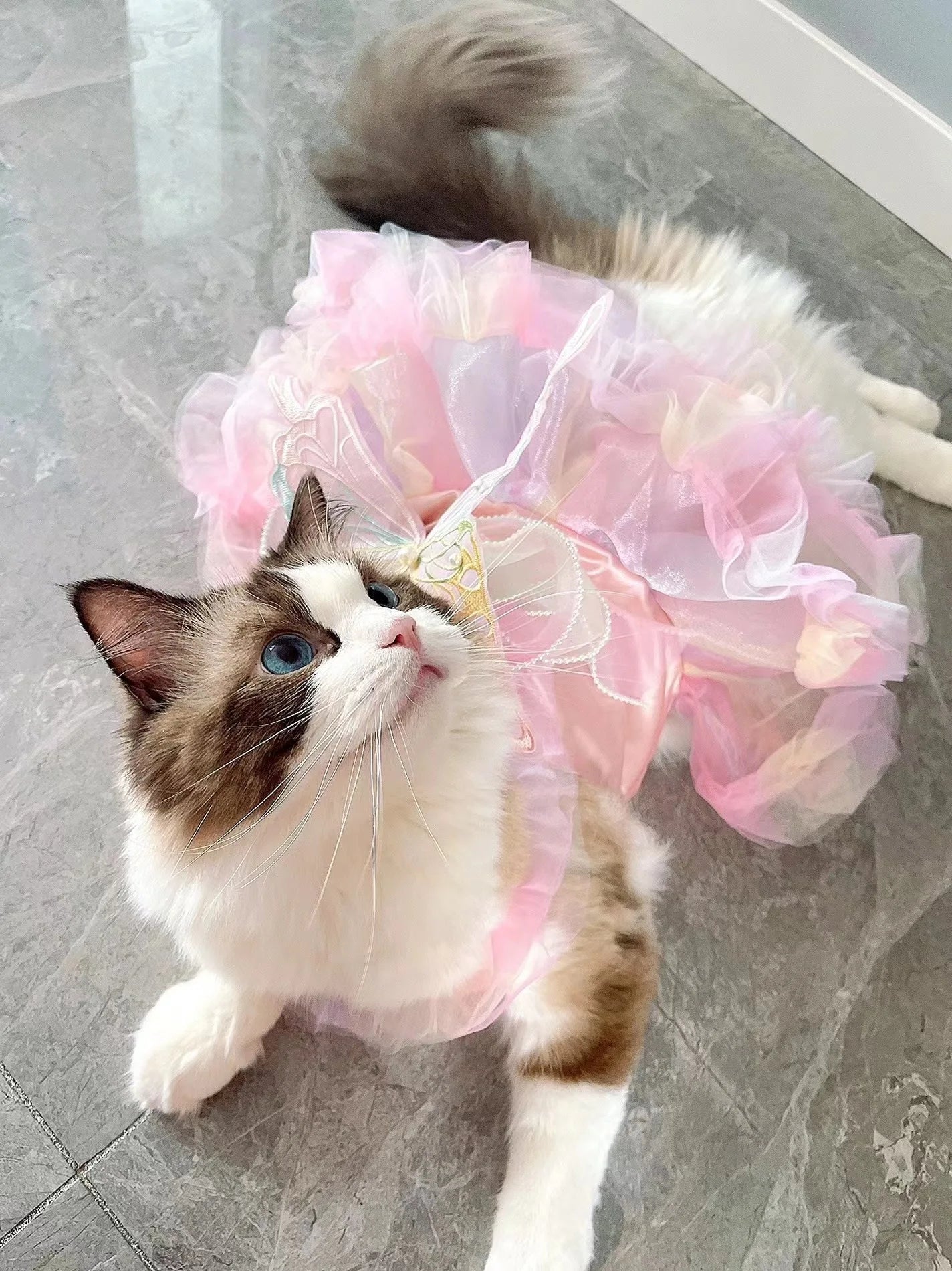Dog Cat spring princess Dress Lace Skirt Pet Clothing Stripe Skirt Puppy Princess Apparel Cute Puppy Clothes Pet cat clothes