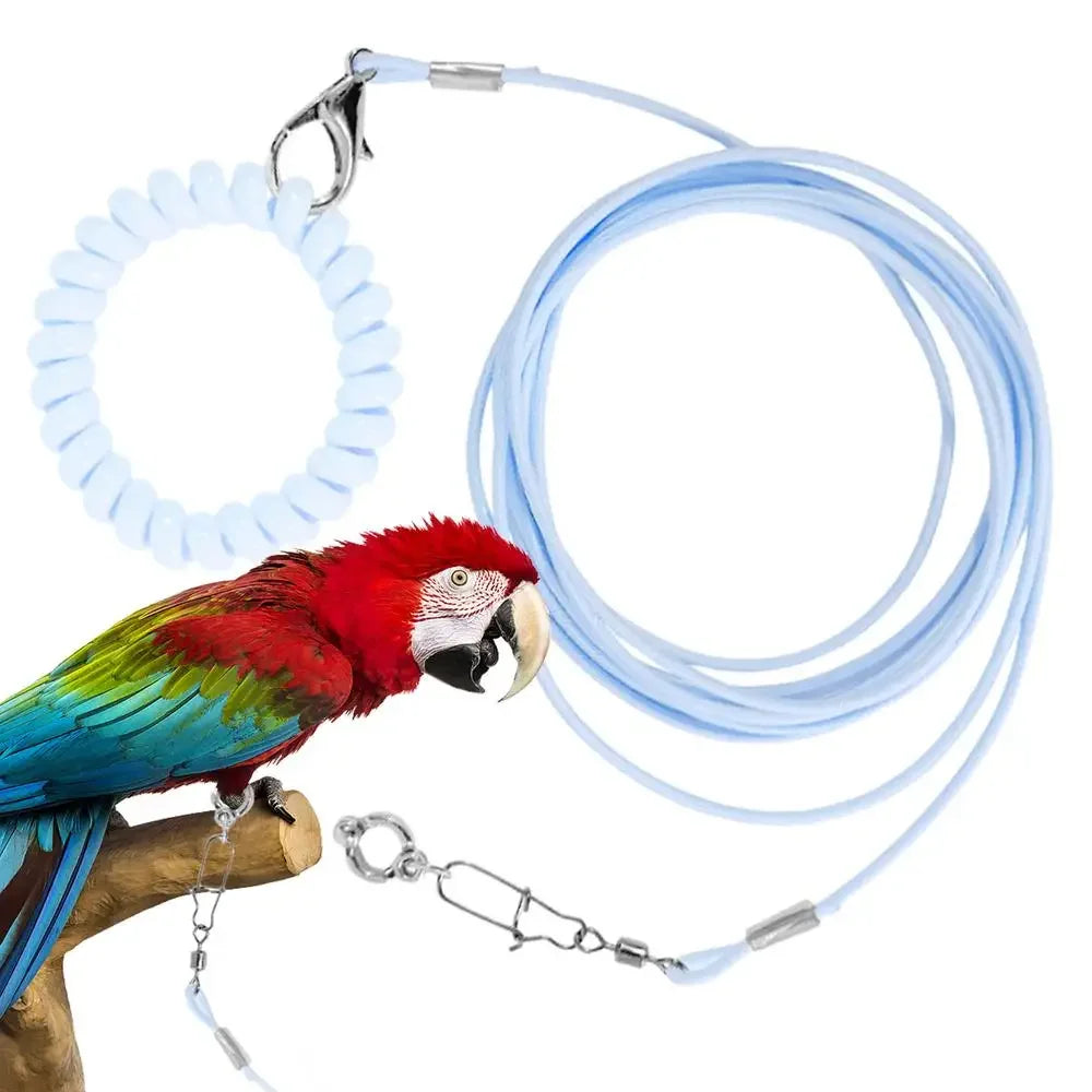 Parrot Bird Flying Training Leashh Rope Anti-flying Foot Chainsize 6 foot ring Ring Outdoor Birds Supplies