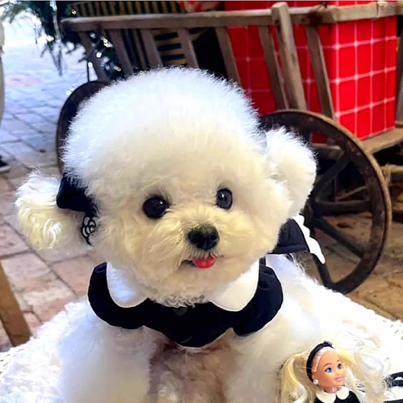 Winter Dog Dress Black White Cotton Dog Clothes for Small Dogs Pet Warm Vest Puppy Skirt Chihuahua Yorkshire Apparels Dog Coat