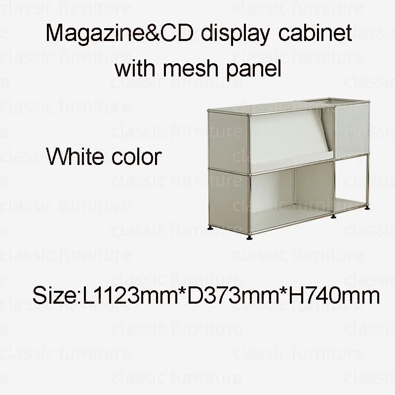 Modular Module Furniture Magazine CD Display Customized Metal Stainless Steel Cabinet  Storage  Sideboard Shelf DIY Living Room