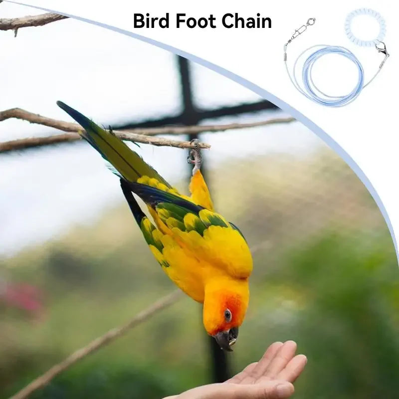 Parrot Bird Flying Training Leashh Rope Anti-flying Foot Chainsize 6 foot ring Ring Outdoor Birds Supplies