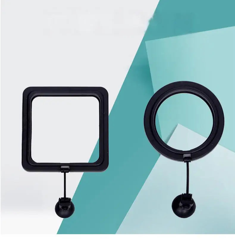 Black Color Aquarium Feeding Ring Fish Tank Floating Food Tray Feeder Square Circle Accessory Fish Food Feeder Suction Cup