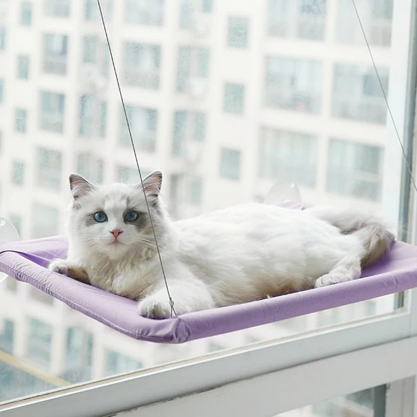 Cat Hammock Window Hanger Cat Hammock Washable Detachable Pet Bed Suction Shelf Bag Beds Seat For Cat Sleeping Pet Supplies