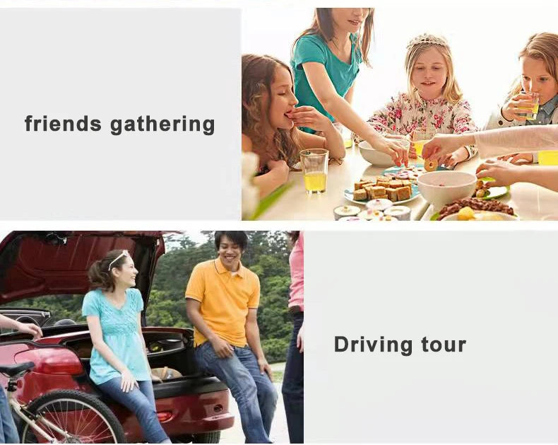 6L Portable Vehicle Refrigerator Mini Car Fridge Incubator Use For Cooling Heating Truck Dormitory Beauty Maquillage